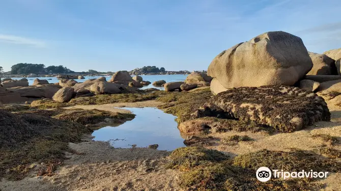 1_Plage de Tourony