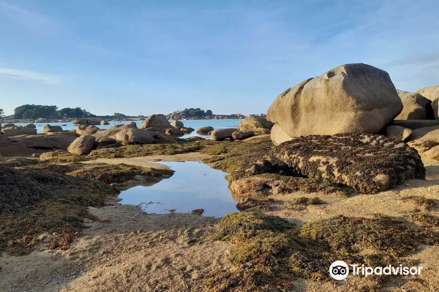 Plage de Tourony