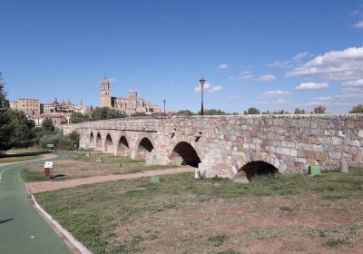 Ponte romano di Salamanca