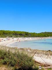 Plage de Sakarun