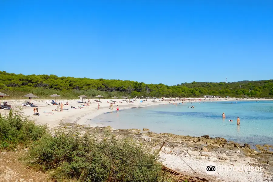 Plage de Sakarun