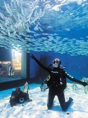 西オーストラリア州立水族館