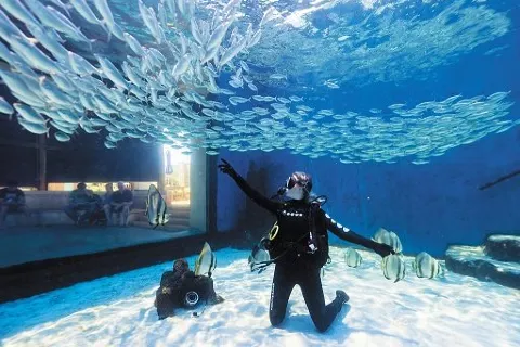 AQWA The Aquarium Of Western Australia