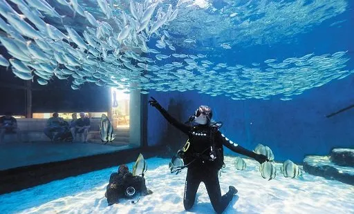 西オーストラリア州立水族館