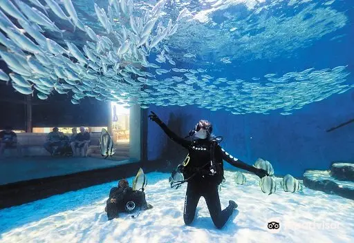 1_AQWA The Aquarium Of Western Australia