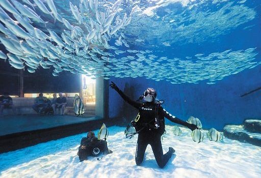 AQWA The Aquarium Of Western Australia