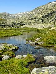 Parque Regional de la Sierra de Gredos