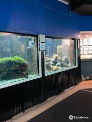 Reef World Aquarium