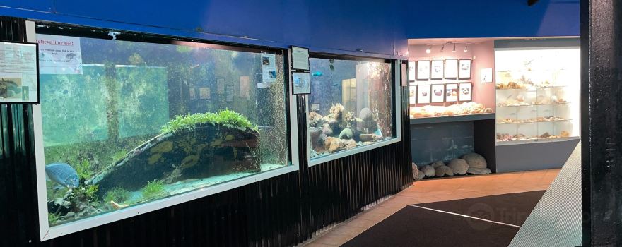 Reef World Aquarium