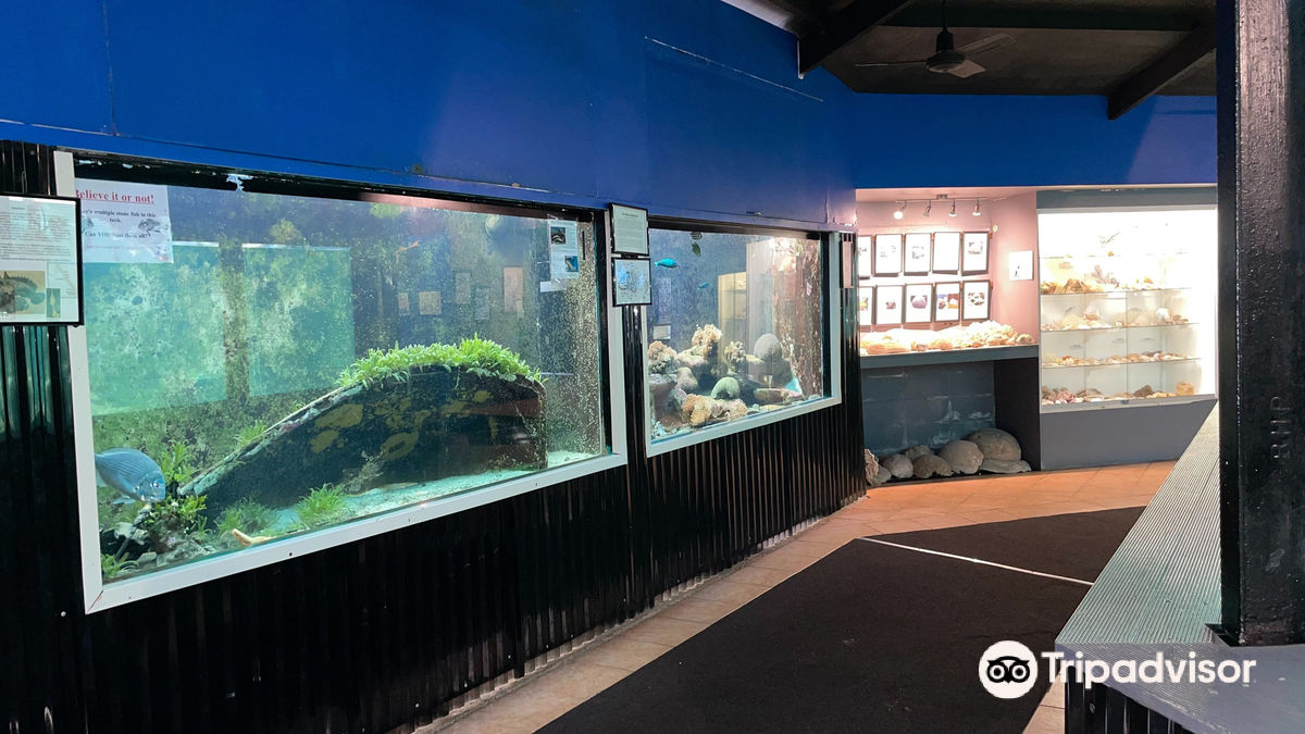 Reef World Aquarium