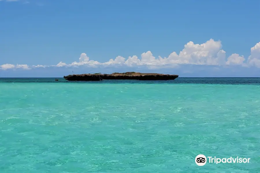 Kisite-Mpunguti Marine National Park and Reserve