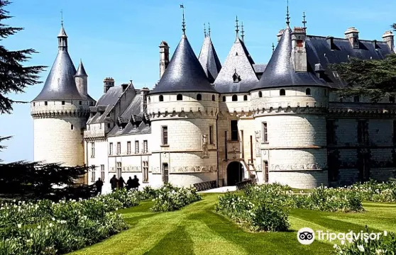 盧瓦爾河畔紹蒙國際花園展覽會門票成人