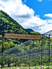 Jozankei Farm, Fruit Theme Park