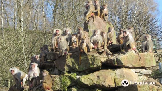 Neunkircher Zoologischer Garten