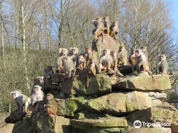 Neunkircher Zoologischer Garten