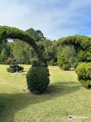 The Pearl Fryar Topiary Garden