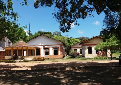 Jardim Botânico Benjamim Maranhão