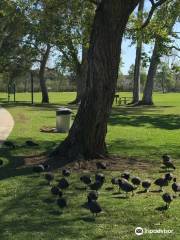 Carbon Canyon Regional Park