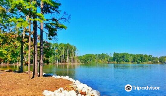 Dreher Island State Park