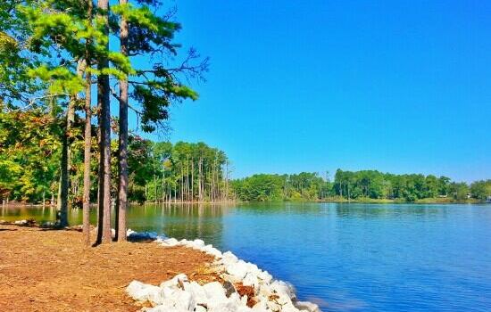 Dreher Island State Park