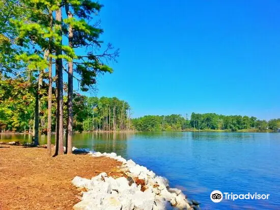 Dreher Island State Park