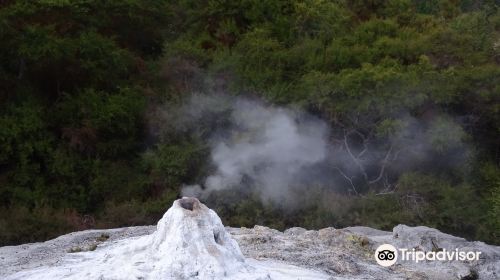 Waiotapu Mud Pool