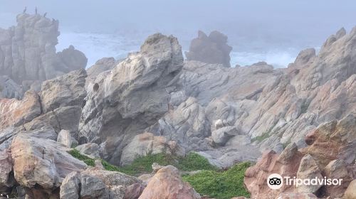 Betty's Bay Main Beach