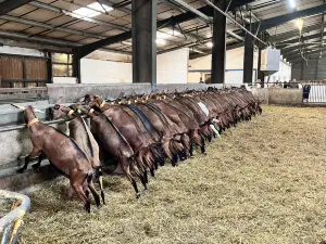 Ferme La Borie D'Imbert