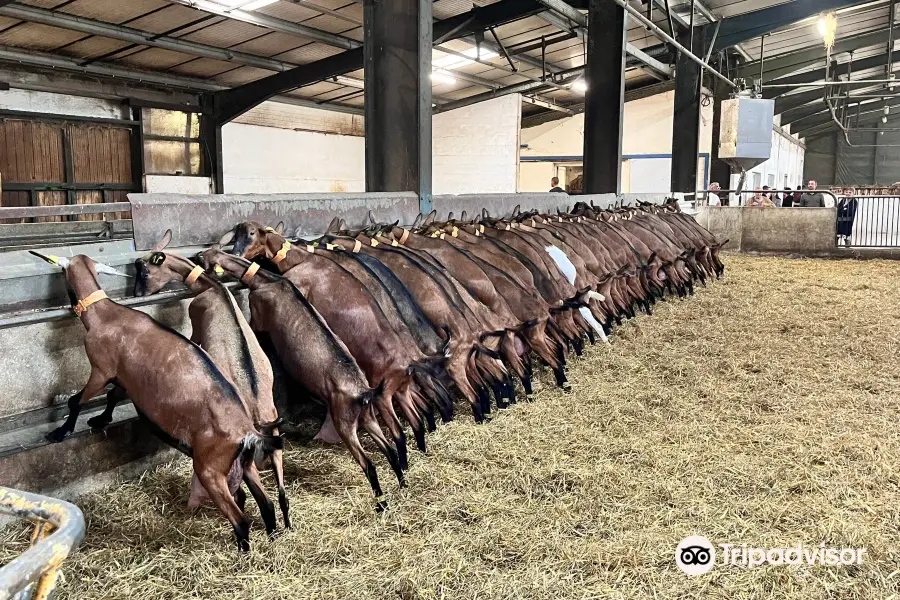 Ferme La Borie D'Imbert