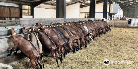 Ferme La Borie D'Imbert