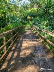 Kuilau Ridge Trailhead