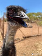 Greenough Wildlife & Bird Park