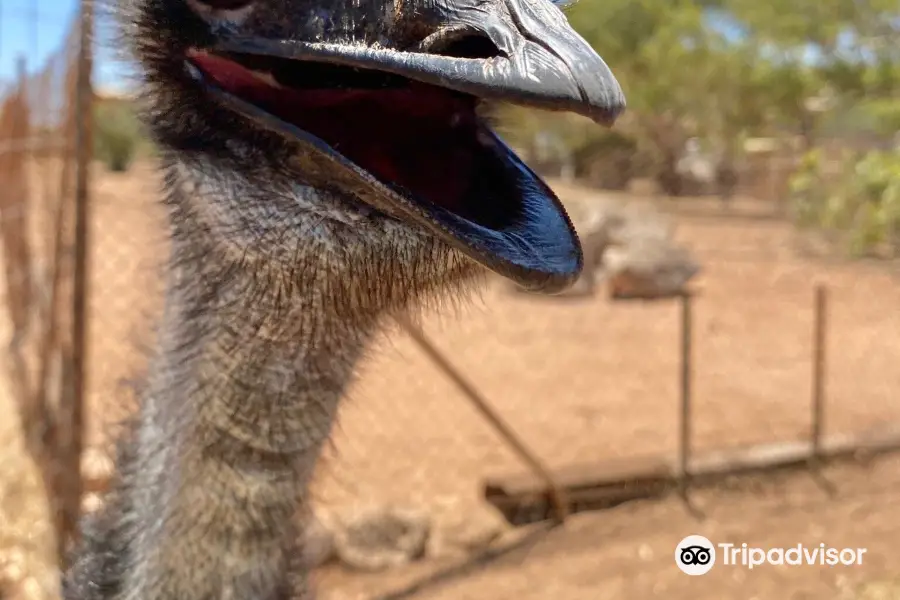 Greenough Wildlife & Bird Park