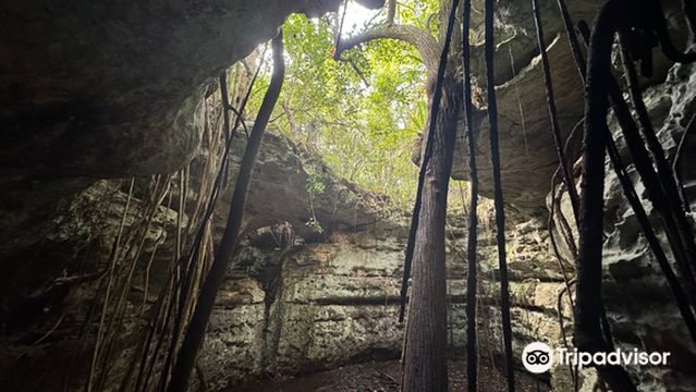Primeval Forest National Park