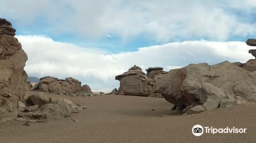 Eduardo Avaroa National Reserve of Andean Fauna