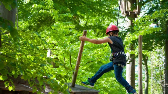 Kletterwald Viernheim