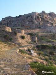 Loharu Fort