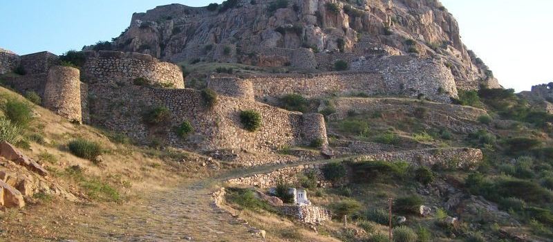 Loharu Fort