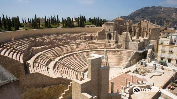Cartagena Propuesta Visita Cultural