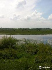 Kilcolman Wildfowl Refuge