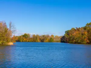 Sharon Creek Conservation Area