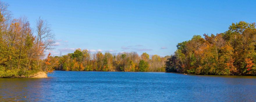 Sharon Creek Conservation Area