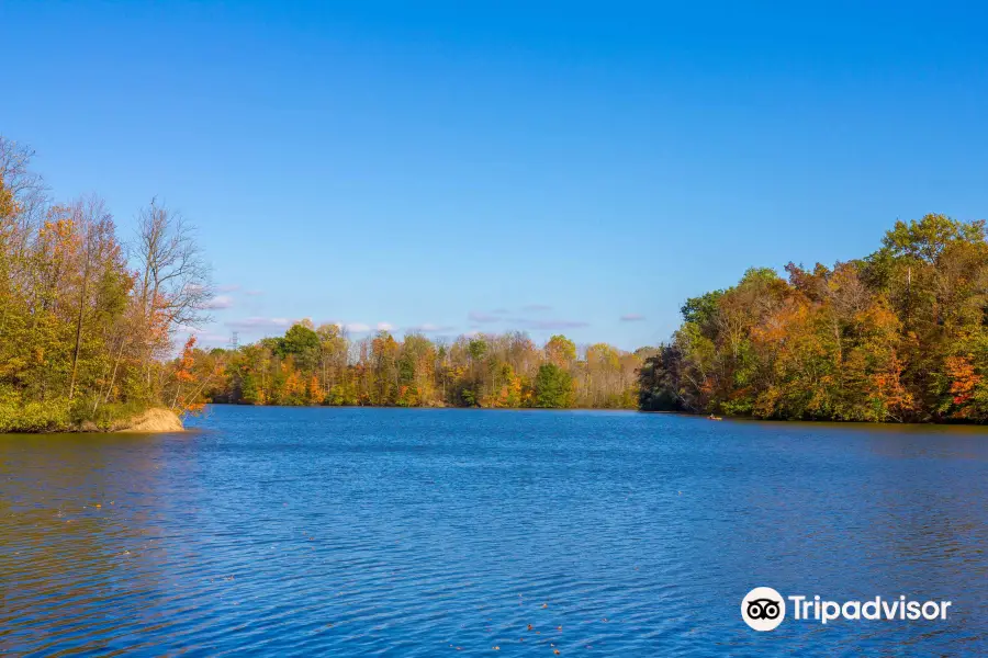 Sharon Creek Conservation Area