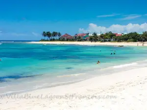 Plage des Raisins Clairs