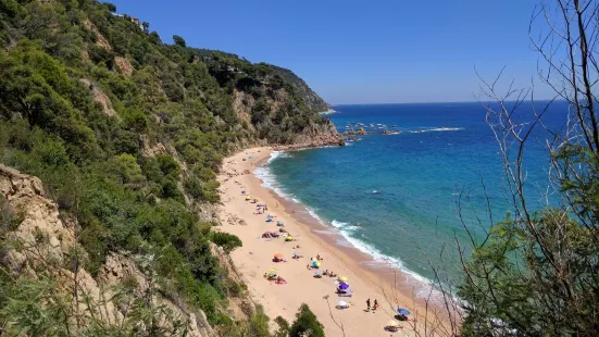 Cala del Senyor Ramon