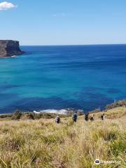 Emu Trekkers