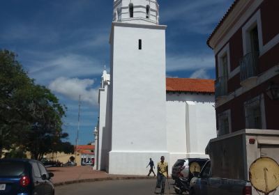 Cathedral Basilica of St. Ann, Coro