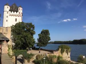 Eltville Castle