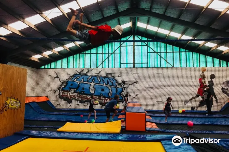 Dialled Indoor Tramp Park