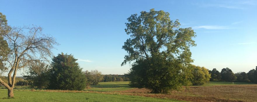 Bristoe Station Battlefield Heritage Park